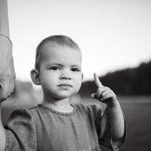 Photo #12254688