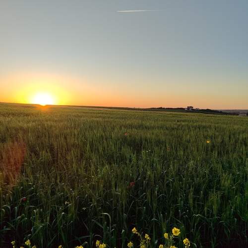 Photo #12254822