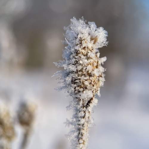 Photo #12255510