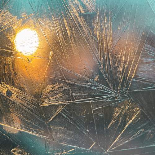 Photo #12255512
