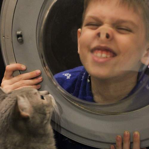...