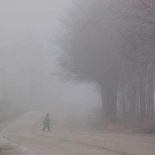 Photo #12255715
