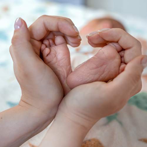 Photo #12256126