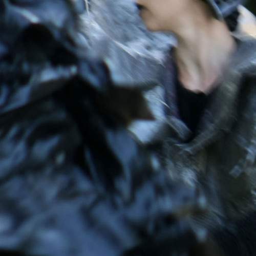 Photo #12256420