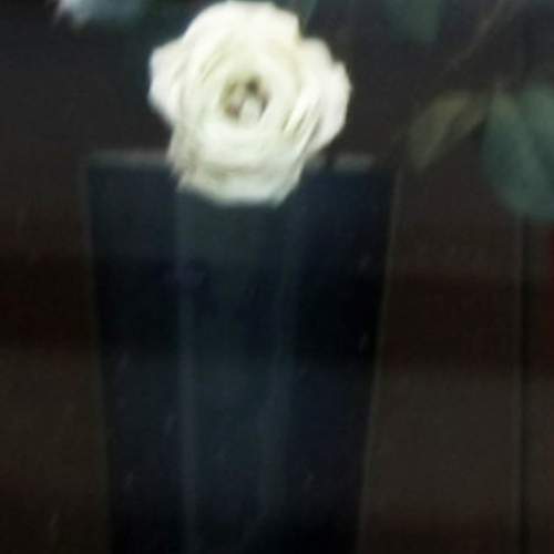 Photo #12256429