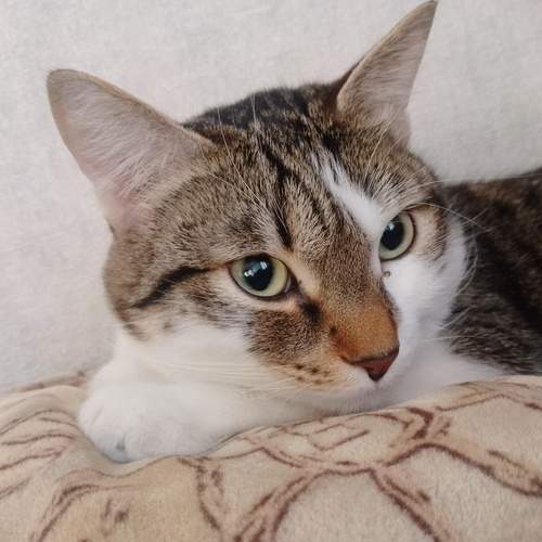 Photo #12256616