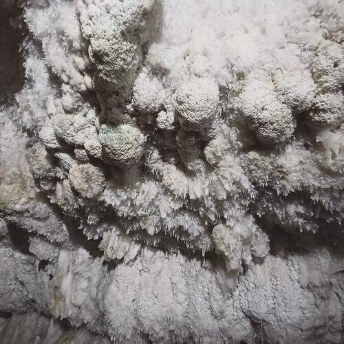 Photo #12257099