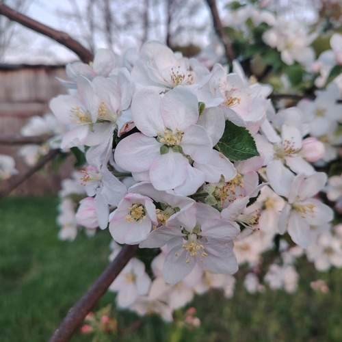 Photo #12257729