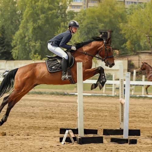 Photo #12257920