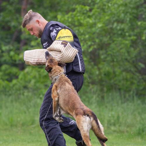 Photo #12258570