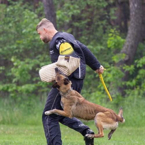 Photo #12258575
