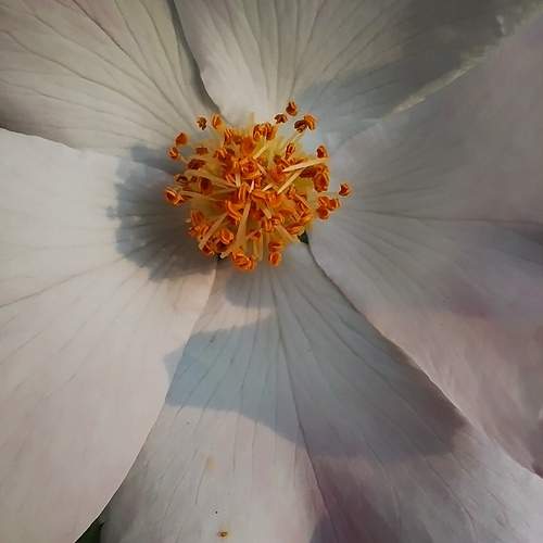 Photo #12259634