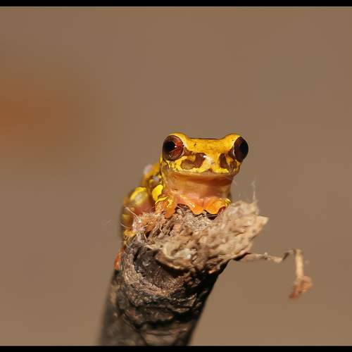 Photo #12259662