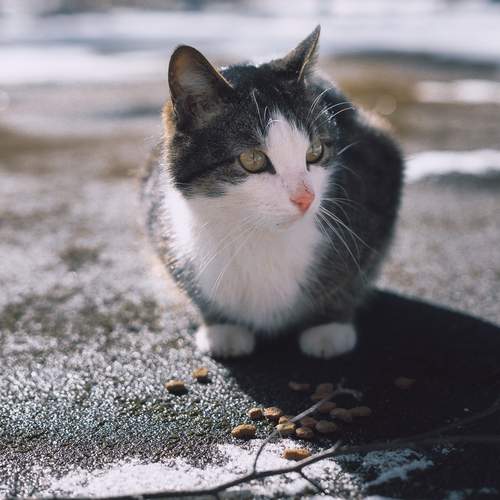 Photo #12259816