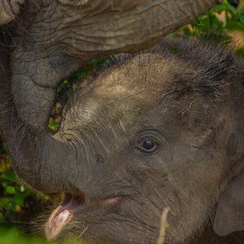 Photo #12259906