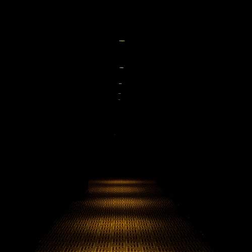 Photo #12259908