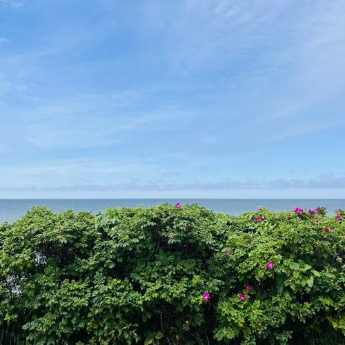 Photo #12260022