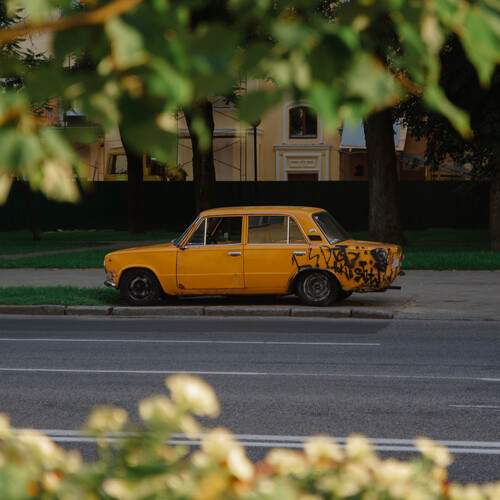 Photo #12260230