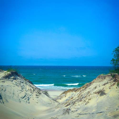 Photo #12260704