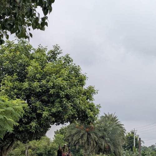 Photo #12260944