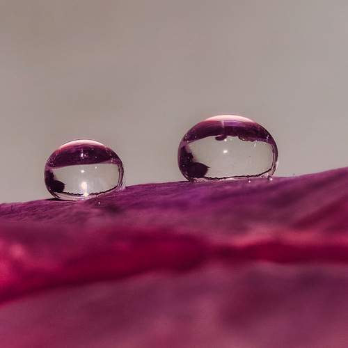 Photo #12261078