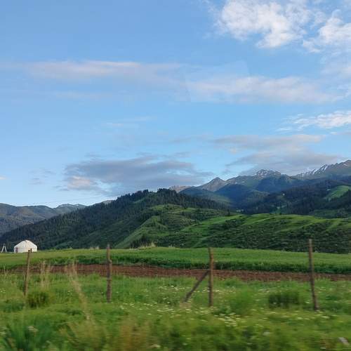 Photo #12261104
