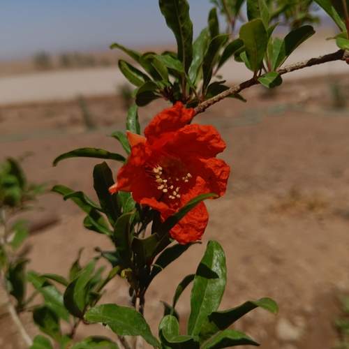 Photo #12261151