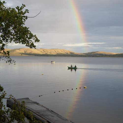 Photo #12261291