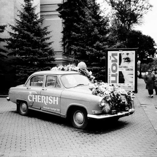 Photo #12261323
