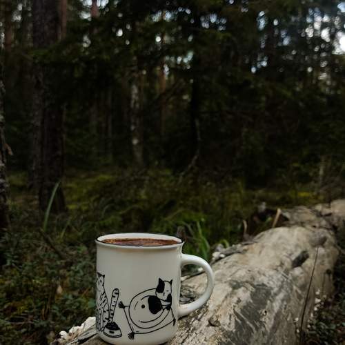 Photo #12261504