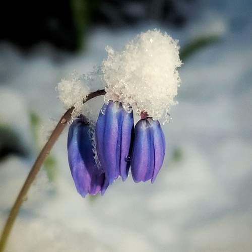 Photo #12261505