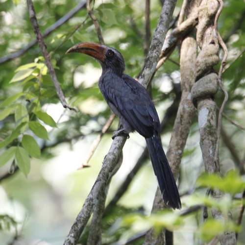 Photo #12261543