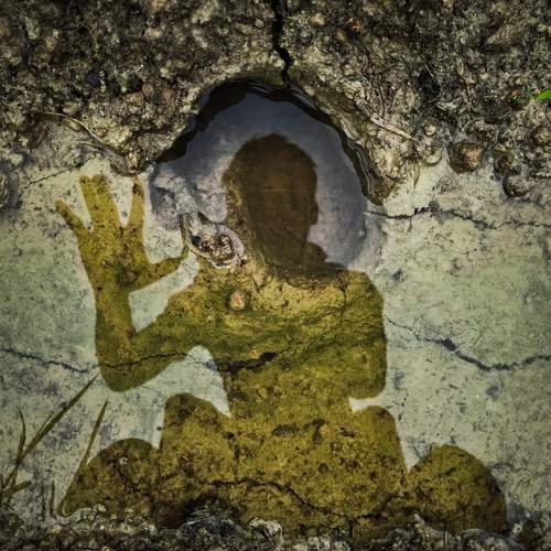 wild picture of a wild photo lover in the shape of a frog.