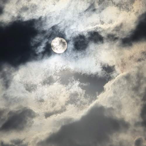 Photo #12261806