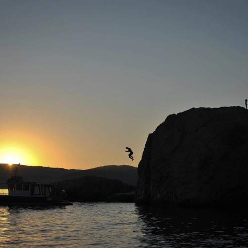 Photo #12261948