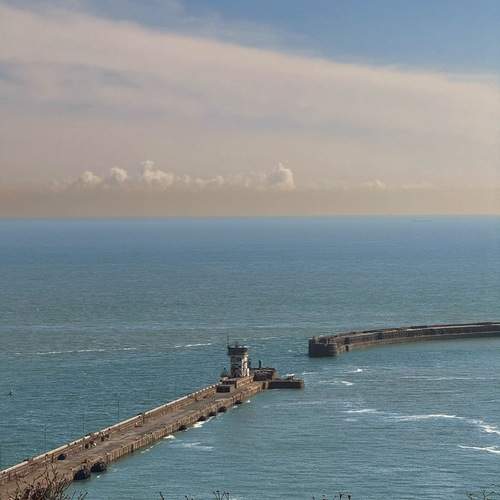 Photo #12262218