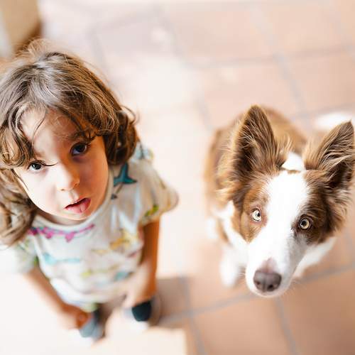Photo #12262230