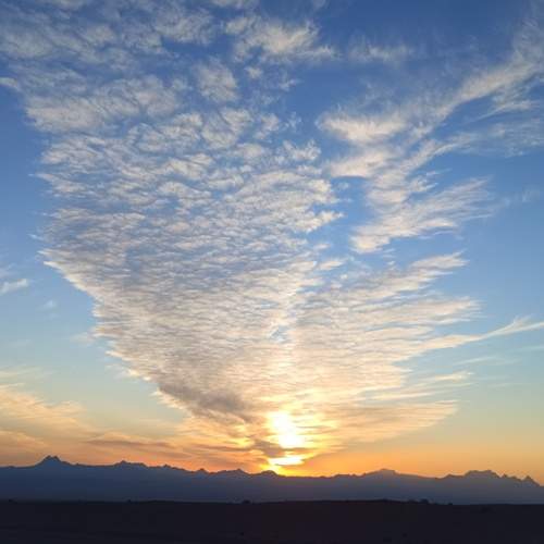 Photo #12262539