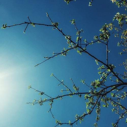 Photo #12262944