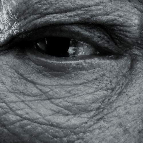 Photo #12262971
