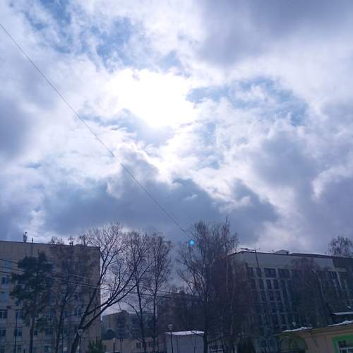 Photo #12263064