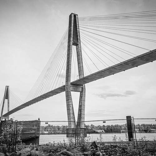 Фотография #12263146