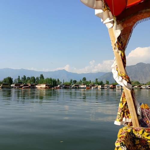 Photo #12263644