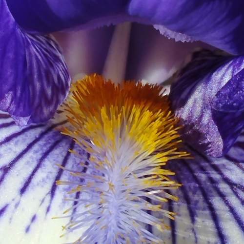 Photo #12263666