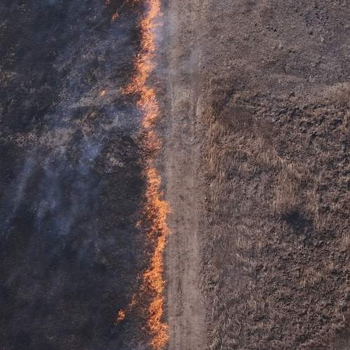 Photo #12264124