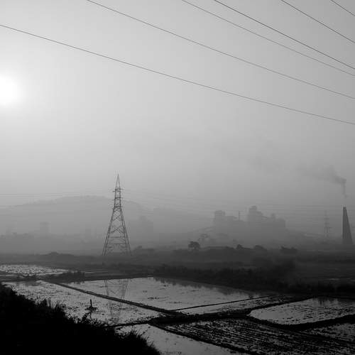 Photo #12264246