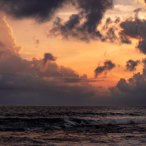 Photo #12264502