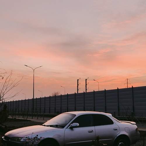 Photo #12264760