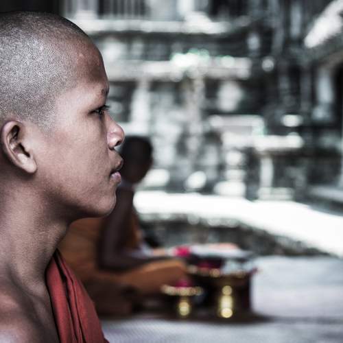 Photo #12264823