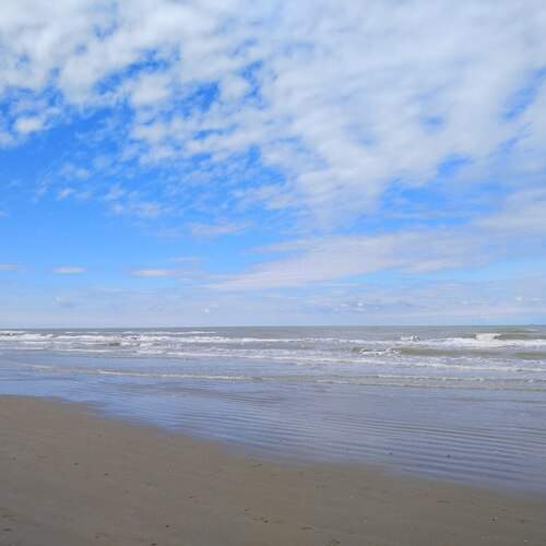 Photo #12264831